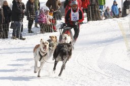 Lenk 2012 SM